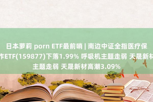 日本萝莉 porn ETF最前哨 | 南边中证全指医疗保健开导与工作ETF(159877)下落1.99% 呼吸机主题走弱 天晟新材高潮3.09%