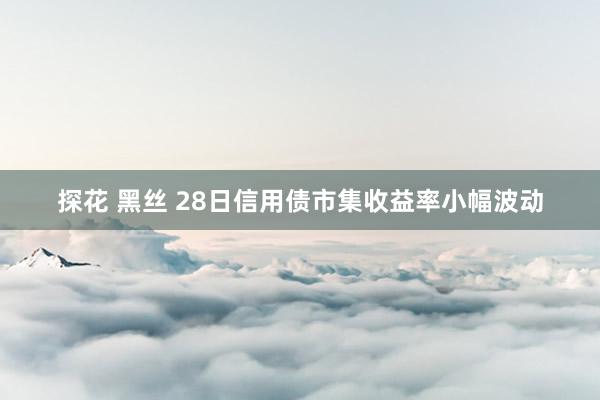 探花 黑丝 28日信用债市集收益率小幅波动