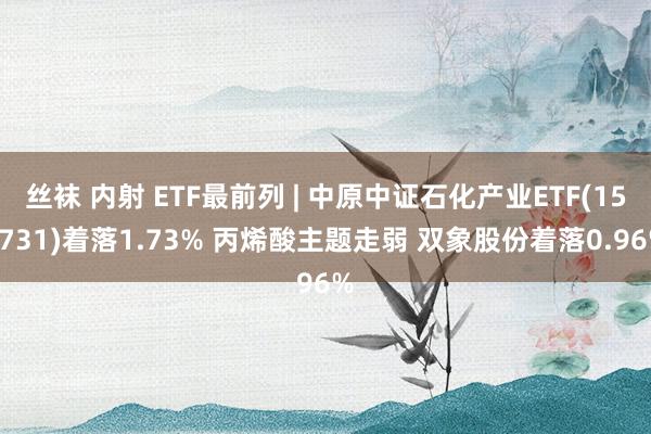 丝袜 内射 ETF最前列 | 中原中证石化产业ETF(159731)着落1.73% 丙烯酸主题走弱 双象股份着落0.96%