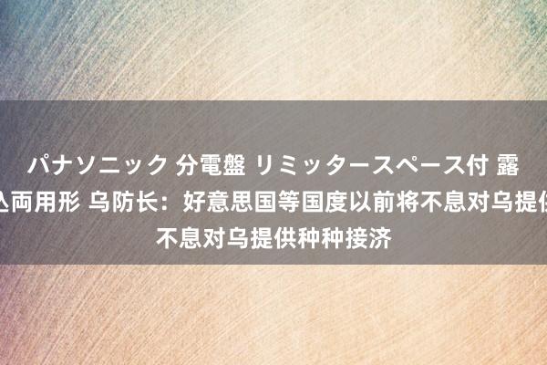 パナソニック 分電盤 リミッタースペース付 露出・半埋込両用形 乌防长：好意思国等国度以前将不息对乌提供种种接济