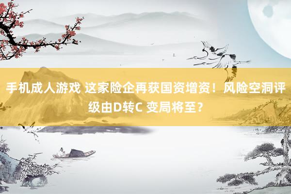 手机成人游戏 这家险企再获国资增资！风险空洞评级由D转C 变局将至？
