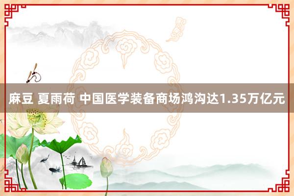 麻豆 夏雨荷 中国医学装备商场鸿沟达1.35万亿元