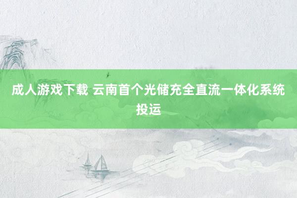 成人游戏下载 云南首个光储充全直流一体化系统投运